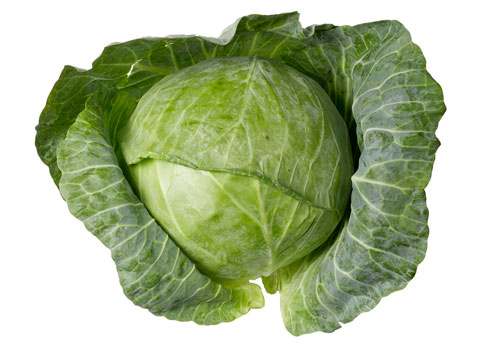 [Image: cabbage-pic.jpg]