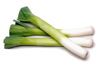 Leek+nutrition+facts_how+many+calories+are+in+leeks