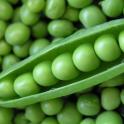 How Many Calories Are In Peas?