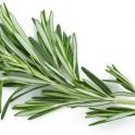 How Many Calories Are In Rosemary?