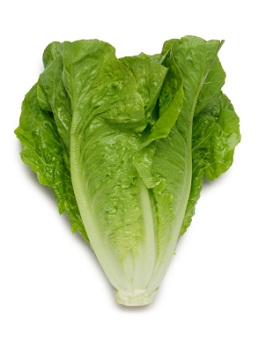 lettuce+nutrition+facts_calories+in+lettuce