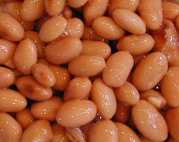 pinto+beans+nutrition+facts_calories+in+pinto+beans