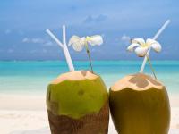 The Benefits of Coconut Water Part II – Coconut Water Powder
