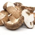 How Many Calories Are In Shiitake Mushrooms?