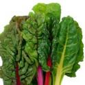 How Many Calories Are In Swiss Chard?