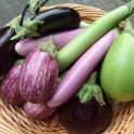 How Many Calories Are In Eggplant?