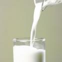 How Many Calories Are In Whole Milk?